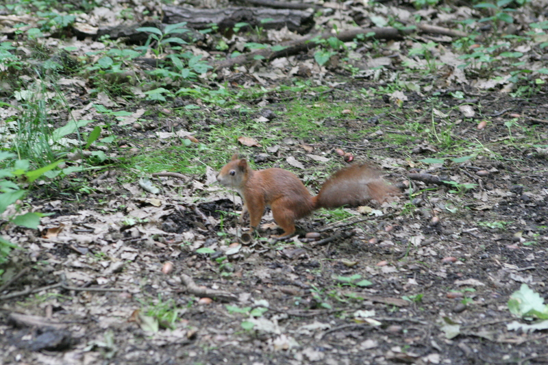 img_3799.jpg 