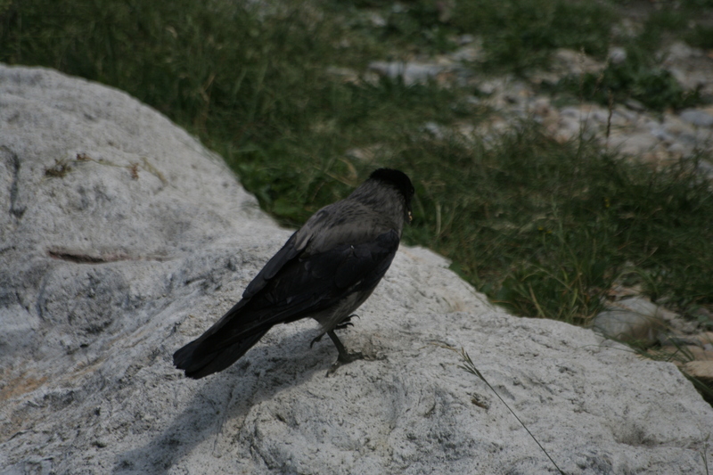 img_3843.jpg 