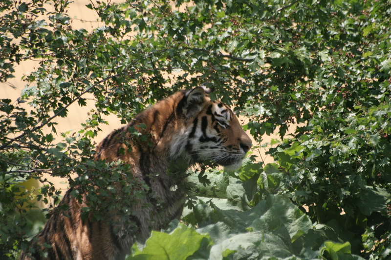 img_3880.jpg 