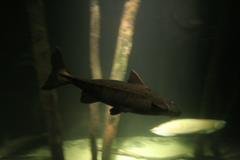 img_3992.jpg 