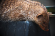 Thumbnail img_0182.jpg 
