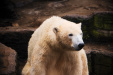 Thumbnail img_0208.jpg 