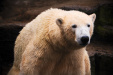 Thumbnail img_0209.jpg 