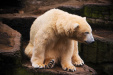 Thumbnail img_0210.jpg 