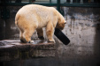 Thumbnail img_0212.jpg 