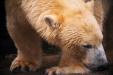 Thumbnail img_0221.jpg 