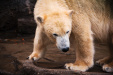 Thumbnail img_0224.jpg 