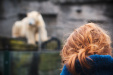 Thumbnail img_0234.jpg 