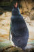 Thumbnail img_0241.jpg 