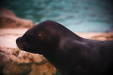 Thumbnail img_0248.jpg 