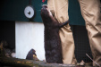 Thumbnail img_0250.jpg 