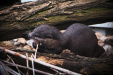 Thumbnail img_0253.jpg 