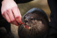 Thumbnail img_0277.jpg 