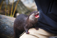 Thumbnail img_0281.jpg 