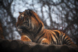 Thumbnail img_0315.jpg 