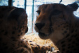 Thumbnail img_0319.jpg 