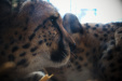 Thumbnail img_0322.jpg 