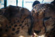 Thumbnail img_0327.jpg 