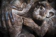 Thumbnail img_0341.jpg 