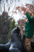 Thumbnail img_0353.jpg 