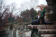 Thumbnail img_0356.jpg 