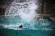 Thumbnail img_0359.jpg 