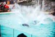 Thumbnail img_0362.jpg 