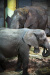 Thumbnail img_0381.jpg 
