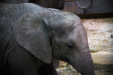 Thumbnail img_0384.jpg 