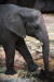 Thumbnail img_0385.jpg 