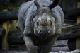 Thumbnail img_9171.jpg 