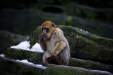 Thumbnail img_9184.jpg 