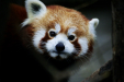 Thumbnail img_9216.jpg 