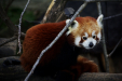 Thumbnail img_9219.jpg 