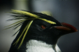 Thumbnail img_9249.jpg 