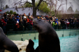 Thumbnail img_9256.jpg 