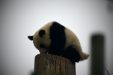 Thumbnail _mg_6494.jpg 