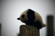 Thumbnail _mg_6496.jpg 