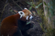 Thumbnail _mg_6509.jpg 