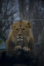 Thumbnail _mg_6534.jpg 