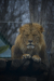Thumbnail _mg_6535.jpg 