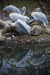 Thumbnail _mg_6660.jpg 