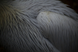 Thumbnail _mg_6669.jpg 