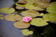 Thumbnail _mg_6820.jpg 