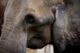 Thumbnail _mg_6968.jpg 