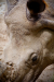 Thumbnail _mg_7117.jpg 