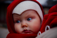 Thumbnail _mg_0267.jpg 