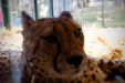 Thumbnail _mg_0732.jpg 