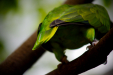 Thumbnail _mg_6869.jpg 