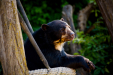 Thumbnail _mg_7265.jpg 